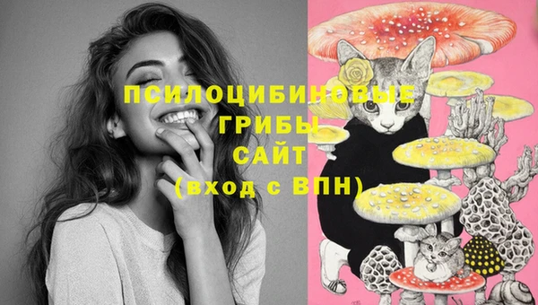 гашишное масло Гусев