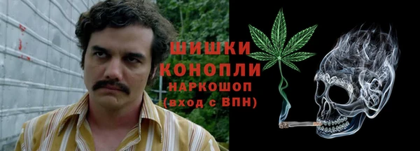 гидра Гусь-Хрустальный