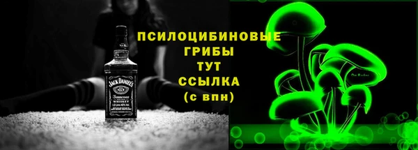 амф Дмитров