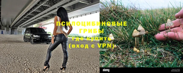 гидра Гусь-Хрустальный